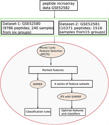 Immunosignature Screening for Multiple Cancer Subtypes Based on Expression Rule